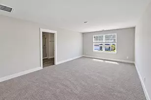 1017 Pampas Grass Dr, Castle Hayne, NC 28429 - Photo 11