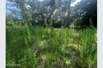 0 Davenport Country Lane, Tarboro, NC 27886 - Photo 13