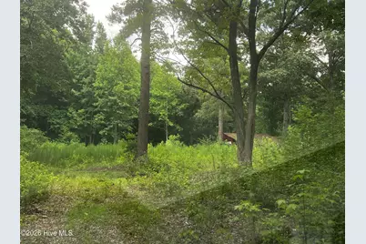 0 Davenport Country Lane, Tarboro, NC 27886 - Photo 3