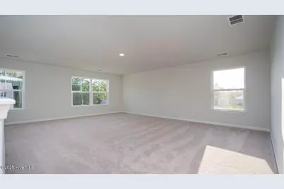 1022 Pampas Grass Drive #Lot 328, Castle Hayne, NC 28429 - Photo 15