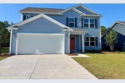 1022 Pampas Grass Drive #Lot 328, Castle Hayne, NC 28429 - Photo 1