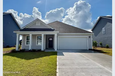 1113 Pampas Grass Drive #Lot 292, Castle Hayne, NC 28429 - Photo 1