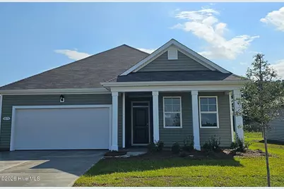 1034 Pampas Grass Drive #Lot 331, Castle Hayne, NC 28429 - Photo 1
