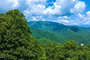 235 Rios Dr, Bryson City, NC 28713 - Photo 3