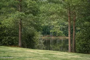 164 Phillip Mills Dr, Teachey, NC 28464 - Photo 27