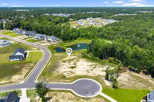104 Dragonfly Ln, Hampstead, NC 28443 - Photo 13