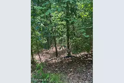 Tbd Boling Way, Southern Pines, NC 28387 - Photo 3