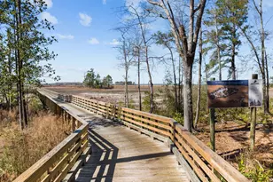 1628 Osprey Cv Ct, Wilmington, NC 28401 - Photo 17