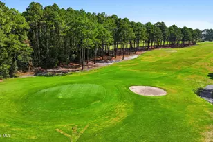981 Great Egret Cir SW, Sunset Beach, NC 28468 - Photo 41