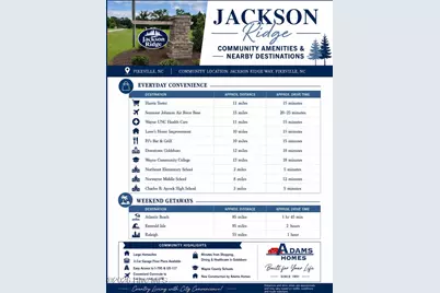 200 Jackson Ridge Way, Pikeville, NC 27863 - Photo 41