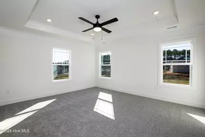 202 Jackson Ridge Way, Pikeville, NC 27863 - Photo 15