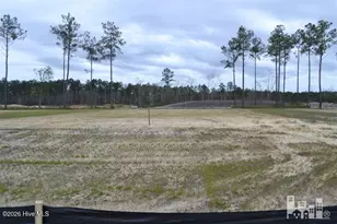 4166 Sea Salt St, Leland, NC 28451 - Photo 1