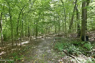 124 Riverside Rd, Carthage, NC 28327 - Photo 53