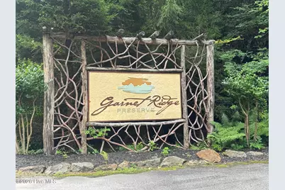 78 Lt 78 Pitch Pine Drive, Sylva, NC 28779 - Photo 25
