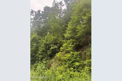 78 Lt 78 Pitch Pine Drive, Sylva, NC 28779 - Photo 5
