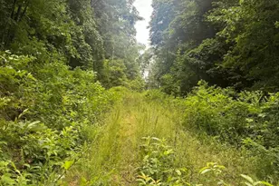 78 Pitch Pine Dr Lot 78, Sylva, NC 28779 - Photo 1