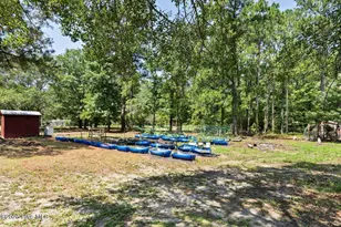 348 Murray Turner Farm Rd, Burgaw, NC 28425 - Photo 13