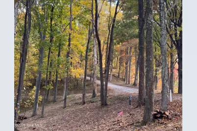 Lot 81 Scenic Mountain Way, Murphy, NC 28906 - Photo 3
