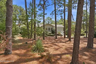 117 Sandham Ct, Seven Lakes, NC 27376 - Photo 21