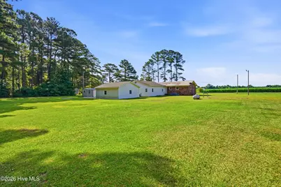 454 Buckhorn Road, Willard, NC 28478 - Photo 31