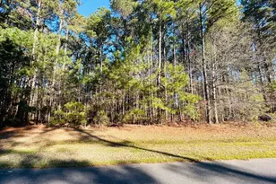 137 Indian Town Creek Dr, Hertford, NC 27944 - Photo 1