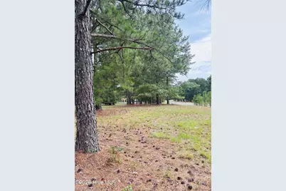 740 Broken Ridge Trail, West End, NC 27376 - Photo 3