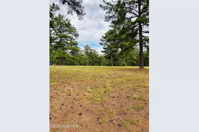 760 Broken Ridge Trail, West End, NC 27376 - Photo 3