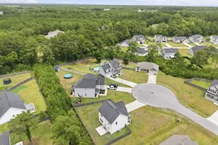 605 Coral Reef Ct, Sneads Ferry, NC 28460 - Photo 49
