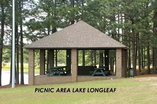 289 Firetree Ln, West End, NC 27376 - Photo 35