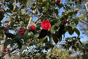 521 Baytree Rd, Wilmington, NC 28409 - Photo 49