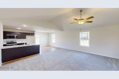 251 Swinson Drive, Dudley, NC 28333 - Photo 13