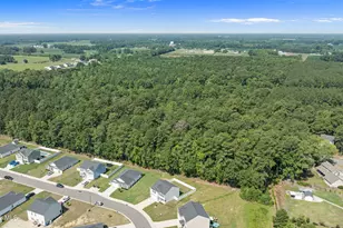 4226 Stanfield Ct, Ayden, NC 28513 - Photo 35