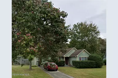 3221 Whitewood Way, Castle Hayne, NC 28429 - Photo 19