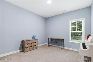 111 Oakbridge Wy, Pikeville, NC 27863 - Photo 41