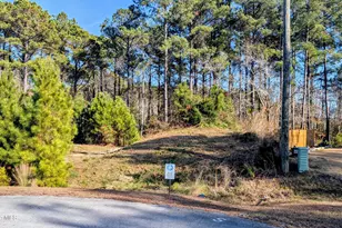 314 Livingston Ct, Holly Ridge, NC 28445 - Photo 1