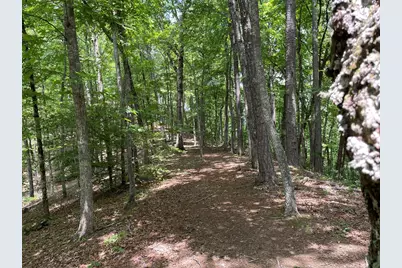 21 Collett Woods Trail, Andrews, NC 28901 - Photo 13