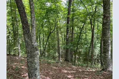 21 Collett Woods Trail, Andrews, NC 28901 - Photo 11