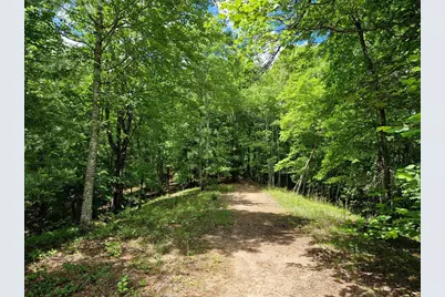 21 Collett Woods Trail, Andrews, NC 28901 - Photo 5