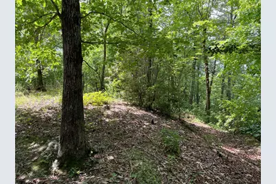 21 Collett Woods Trail, Andrews, NC 28901 - Photo 15