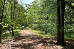 21 Collett Woods Trail, Andrews, NC 28901 - Photo 1