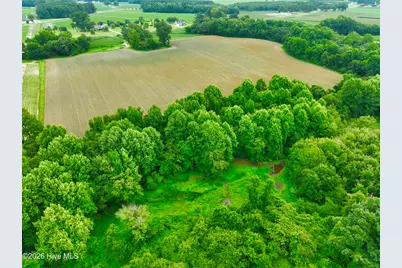 478 Davis Mill Road, Fremont, NC 27830 - Photo 13