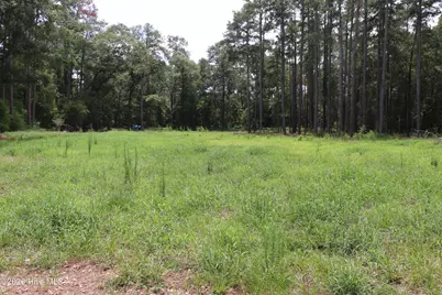 Tbd Hayne Stretch Road Road, Roseboro, NC 28382 - Photo 11