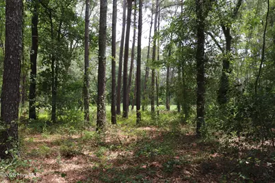 Tbd Hayne Stretch Road Road, Roseboro, NC 28382 - Photo 15