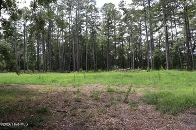 Tbd Hayne Stretch Road Road, Roseboro, NC 28382 - Photo 9