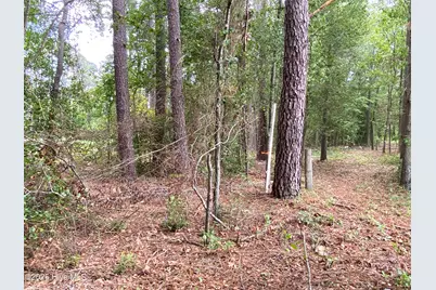 Tbd Hayne Stretch Road Road, Roseboro, NC 28382 - Photo 27
