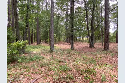 Tbd Hayne Stretch Road Road, Roseboro, NC 28382 - Photo 21