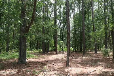 Tbd Hayne Stretch Road Road, Roseboro, NC 28382 - Photo 13