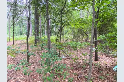 Tbd Hayne Stretch Road Road, Roseboro, NC 28382 - Photo 23