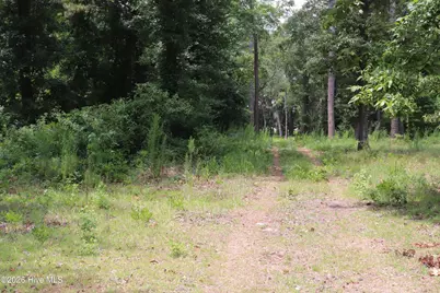 Tbd Hayne Stretch Road Road, Roseboro, NC 28382 - Photo 5