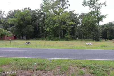 Tbd Hayne Stretch Road Road, Roseboro, NC 28382 - Photo 3